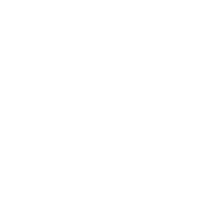 Playtech Slot