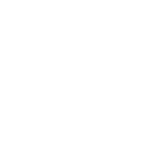 Playtech Slot